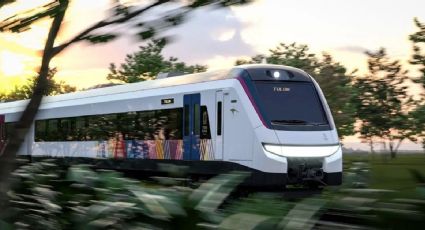 Tren Maya: Los servicios que ofrecerán los trenes durante tu recorrido