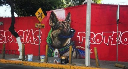 ¡Gracias Proteo! ¿Dónde se encuentra el mural en honor al perro rescatista?