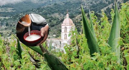 Día del Pulque: 5 destinos cerca de la CDMX para degustar la bebida de los dioses