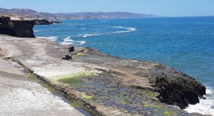 ¿Playa o desierto? La Lobera, el mágico lugar de México que une los dos paraísos