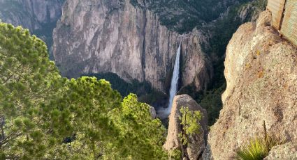 Cascada Basaseachi, una de las más altas de México dentro de un paraíso montañoso