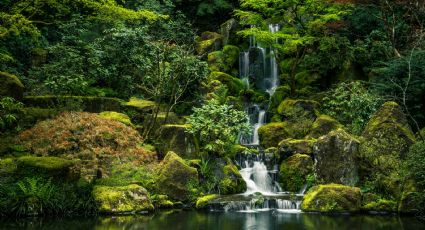 El parque natural rodeado de cascadas en medio de la naturaleza en Monterrey