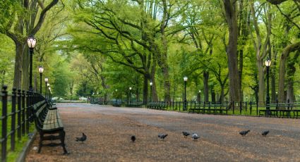 Nueva York en Mérida: Así será en nuevo 'Central Park' que tendrá la capital de Yucatán