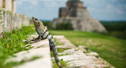 ¿Cuándo y a qué hora inicia el equinoccio de primavera en México este 2023?