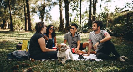 Parques ideales para armar un picnic un fin de semana en la CDMX