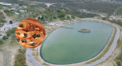 Festival de la Capirotada llega a Coahuila para deleitarte con sus sabores tradicionales