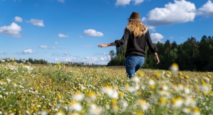 Atrévete a recorrer los 3 lugares imperdibles del país más feliz del mundo