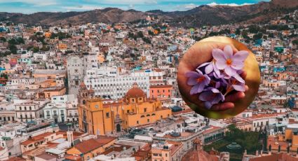 Guanajuato se pinta de colores con la llegada del Día de las Flores 2023