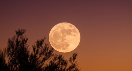 ¿Cuándo podrás ver la Luna de Gusano de marzo?