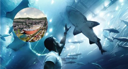 Barco Utopía abre sus puertas con el acuario digital más grande América Latina: horarios y costo