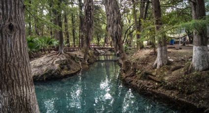 Laguna de la Media Luna, el paraíso natural que podría ser declarado Patrimonio de la Humanidad