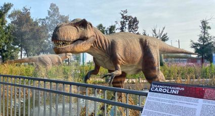 ¡Diversión jurásica! 5 parques de dinosaurios para disfrutar este Día del Niño