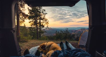 9 cosas que no se te pueden olvidar en un viaje de campamento