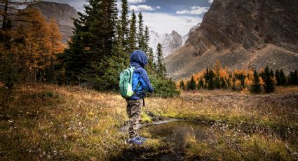 Détox para unas vacaciones ideales y para regresar a la naturaleza