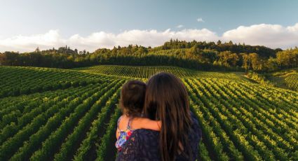 Viñedos cerca de CDMX para consentir a mamá este Día de las Madres sin gastar una fortuna