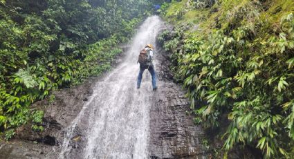 Explora las impresionantes cascadas de la selva tropical de Tabasco