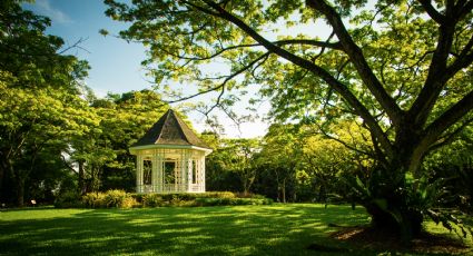 5 jardines botánicos para entrar en contacto con la naturaleza sin salir de la ciudad