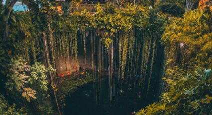 Alerta por casos de histoplasmosis tras visitar cenotes de Yucatán; estos son los riesgos