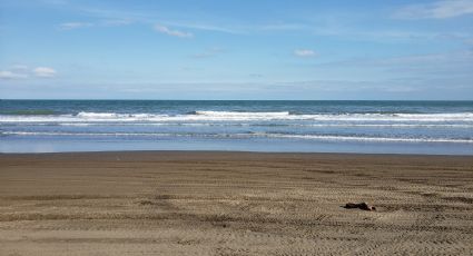 La playa con bellas dunas que encontrarás a sólo cinco horas de la CDMX