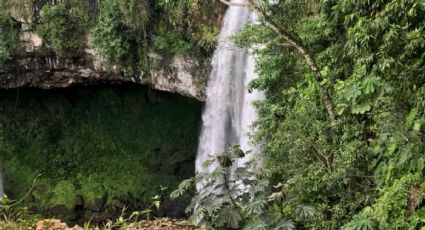 Cascada Xoyoquila, el sitio mágico de Puebla para vivir una aventura en la naturaleza