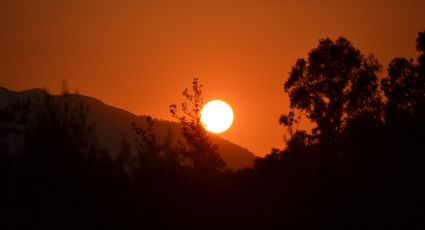 Eclipse anular de sol: ¿En qué estados ver este fenómeno que oscurecerá a México en octubre?