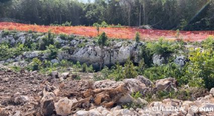 ¿Cuál es la cueva Dama Blanca que pasa por el Tren Maya en Playa del Carmen?