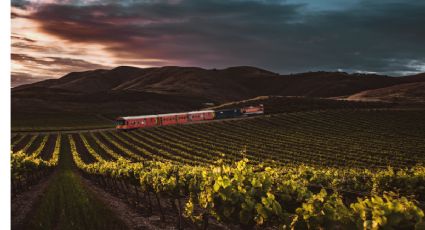 De Monterrey a Torreón: Así será el Tren del Vino que pronto será realidad en Parras de la Fuente