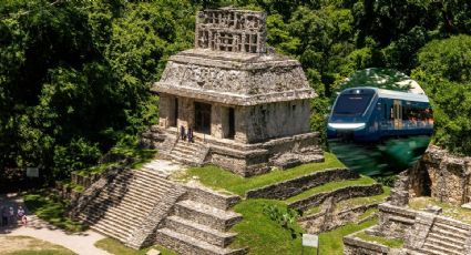 Tren Maya: Este será el recorrido desde Palenque hasta la Riviera Maya