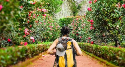 ¿Qué son las microaventuras y por qué son ideales para quienes no gustan de viajes largos?