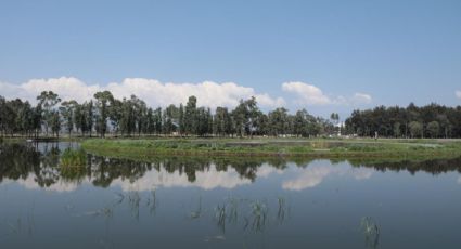 Conoce el nuevo lago artificial que tiene la Ciudad de México para pasar un día de campo en familia