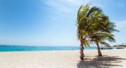 ¿Vas a la playa? La ciencia dice qué color no debes usar cuando hace calor