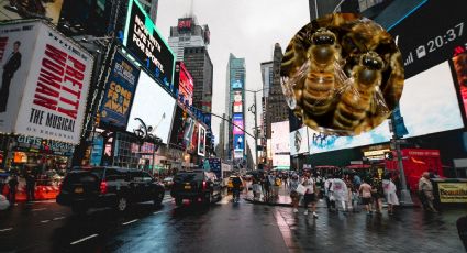 ¿Qué pasa en Nueva York? La Gran Manzana fue invadida por miles de abejas y el momento se hizo viral