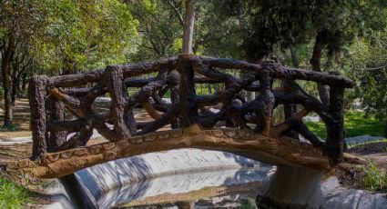 Las Tazas de Chapultepec: el humedal con cascadas que reabre tras 40 años