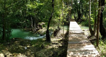 Vive un Verano relajado entre las cristalinas aguas de la Reserva Salto Grande en Campeche