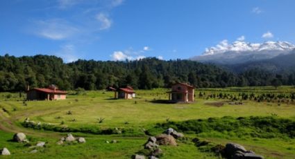 Canícula 2023: Escápate al refrescante Bosque Esmeralda, muy cerca de la Ciudad de México