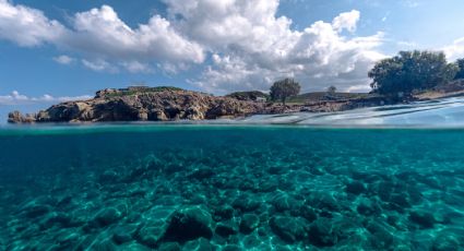 Playa Agua Caliente: ¿Cómo llegar a estas pozas de aguas termales de Baja California Sur?