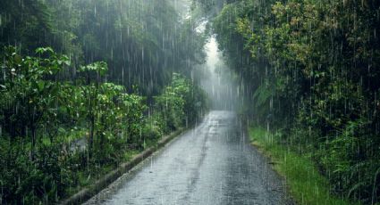 Ciclón Tropical ‘Adrián’: 6 estados de la República Mexicana que serán los primeros afectados