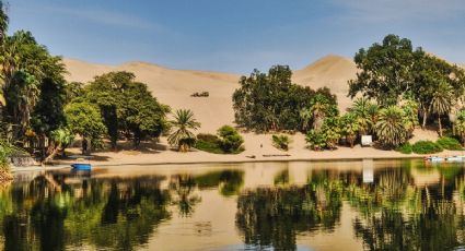 Los hermosos oasis completamente imperdibles en  Baja California Sur que puedes explorar