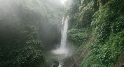 Descubre las fascinantes cascadas ocultas en Puerto Vallarta en tu siguiente viaje