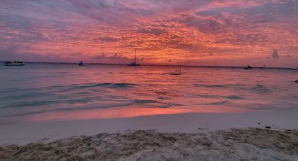 ¿Cuáles son las playas con y sin SARGAZO hoy 26 de junio de 2023? MAPA