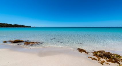 ¡A nadar! Anuncian un Verano 2023 con poco sargazo en playas de Quintana Roo