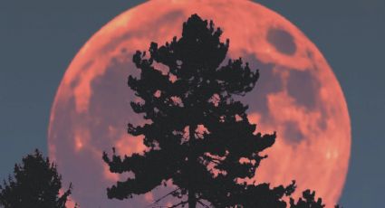 ¡Imperdible! Admira la SUPERLUNA de ciervo, el evento astronómico más especial de julio