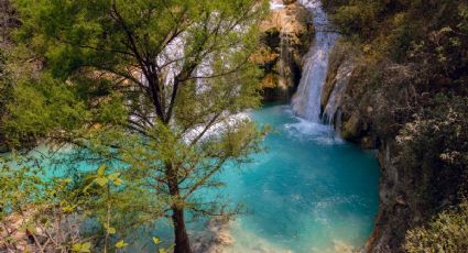 ¿Ganas de un viaje de mochilazo? Estos son los lugares naturales imperdibles de Oaxaca