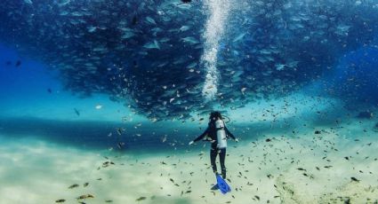 ‘El acuario del mundo’ de Baja California Sur, en el que el buceo es una experiencia espectacular