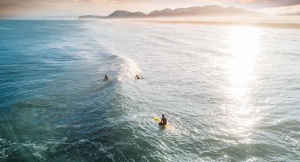 Las mejores playas para disfrutar del surf en México este verano