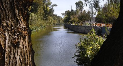 El antiguo canal prehispánico que todavía está vigente en la CDMX y puedes visitar