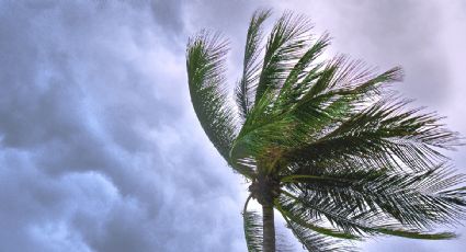 Huracán ‘Beatriz’ pasa a Tormenta Tropical; en estos estados continuará con fuertes lluvias