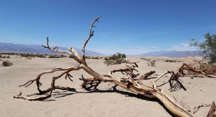 De calor extremo a frío congelante: Así será el paso del fenómeno ‘El Niño’ en México