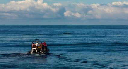 Mexicanos rescatan a hombre y su perrita que pasaron meses a la deriva en el Pacífico