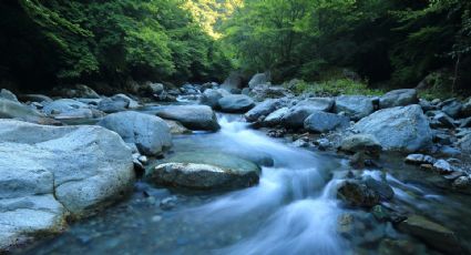 Relájate en un río de aguas termales y bellos manantiales secretos, cerca de la CDMX